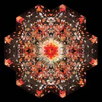 Gold Panda — Half of Where You Live